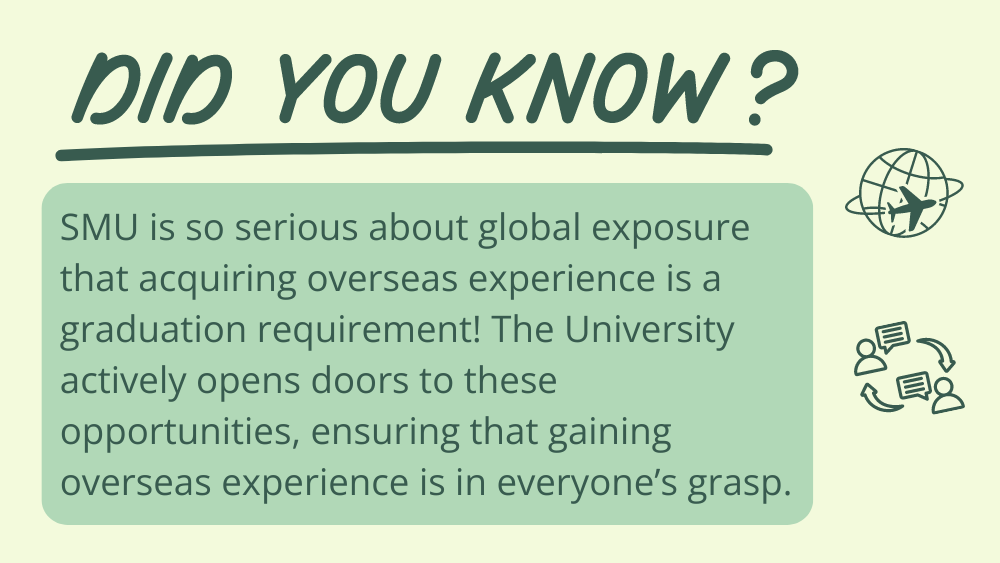 Did You Know graphic on global experience