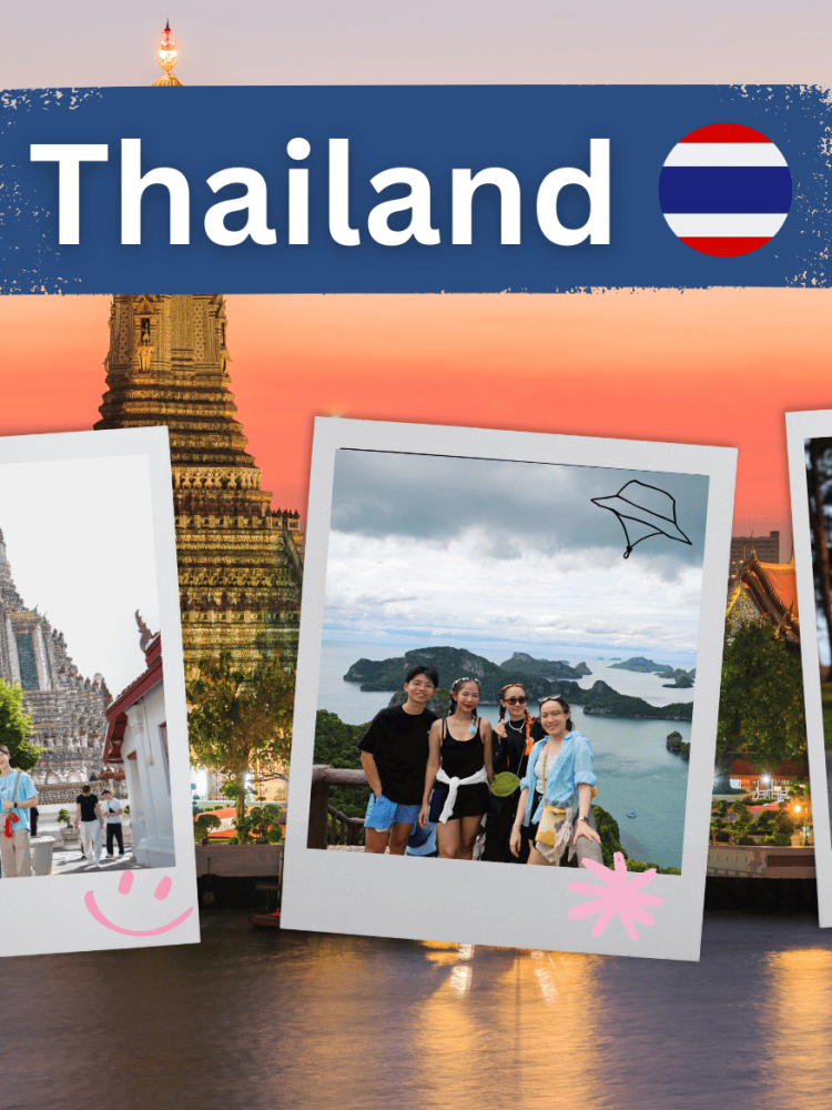 img-medium-thumbnail