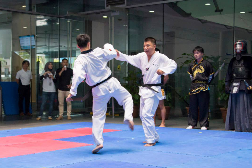 Taekwondo at VIVACE 2015